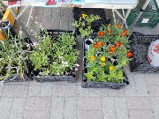 photo1718255076 (9).jpeg